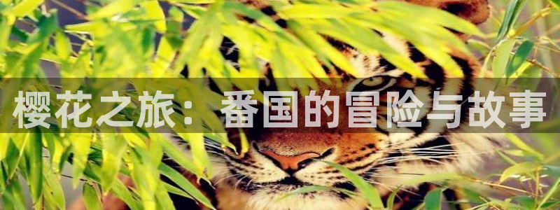 羞羞动漫歪歪动漫