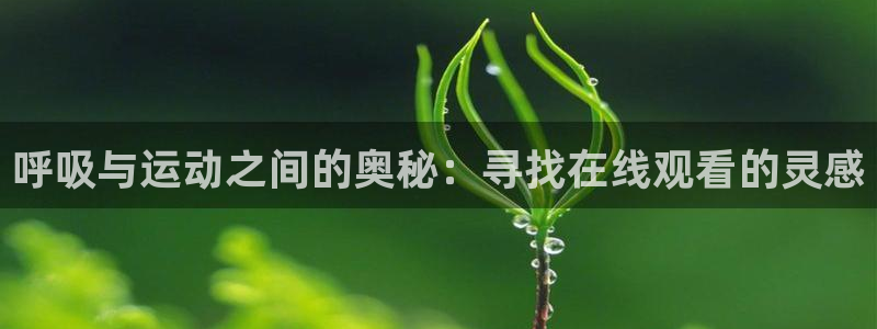 歪歪动漫在线动漫免费观看